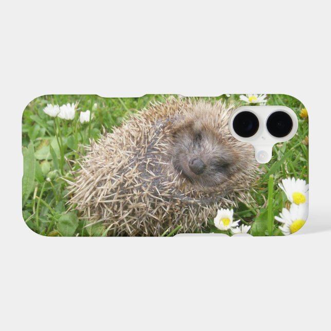 Cutest Baby Animals | Spanish Hedgehog iPhone Case (Back Horizontal)