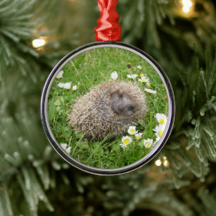 Cutest Baby Animals   Spanish Hedgehog Metal Tree Decoration
