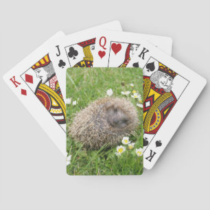 Cutest Baby Animals Spanish Hedgehog Playing Cards