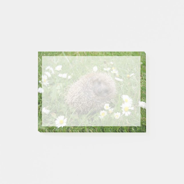 Cutest Baby Animals | Spanish Hedgehog Post-it Notes (Front)