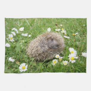 Cutest Baby Animals   Spanish Hedgehog Tea Towel