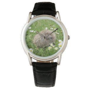 Cutest Baby Animals Spanish Hedgehog Watch