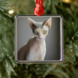 Cutest Baby Animals   Sphinx Cat Metal Tree Decoration