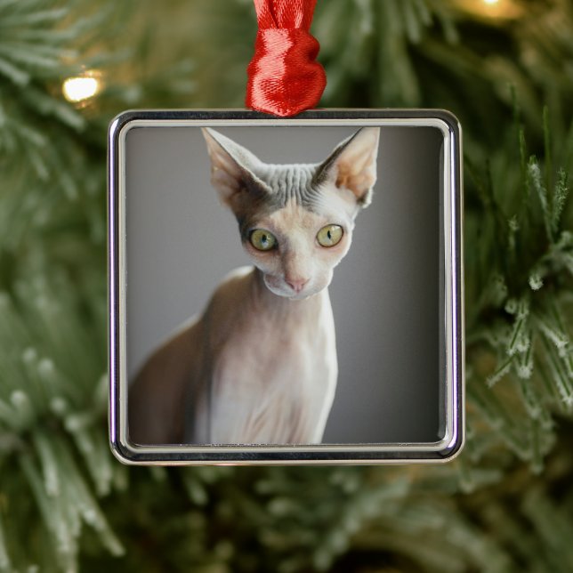 Cutest Baby Animals | Sphinx Cat Metal Tree Decoration (Tree)