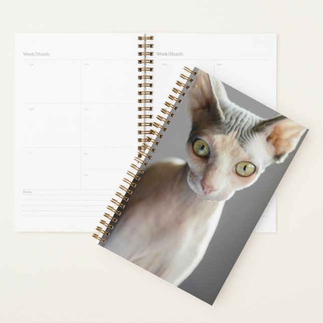 Cutest Baby Animals | Sphinx Cat Planner (Display)