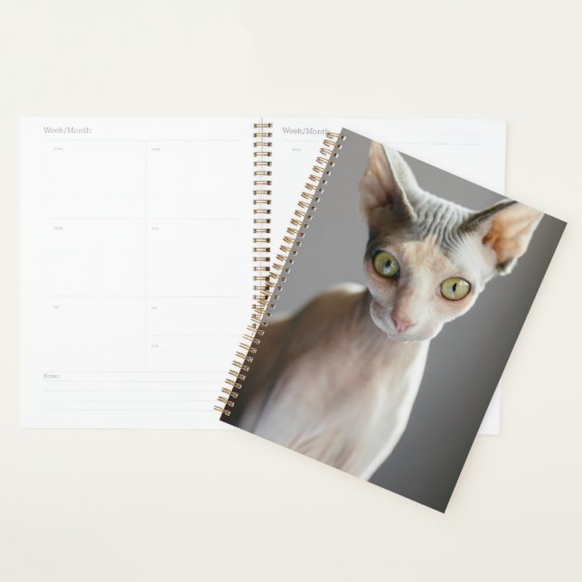 Cutest Baby Animals | Sphinx Cat Planner (Display)