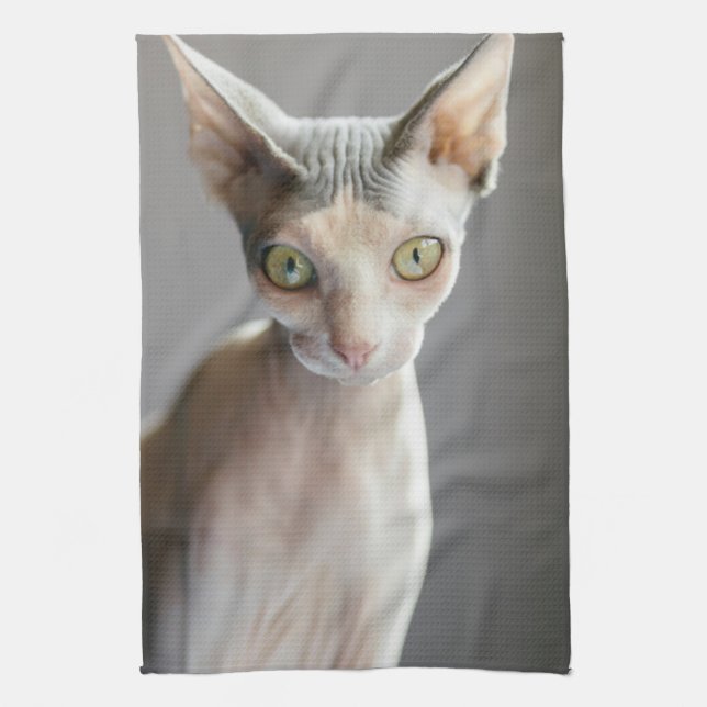 Cutest Baby Animals | Sphinx Cat Tea Towel (Vertical)