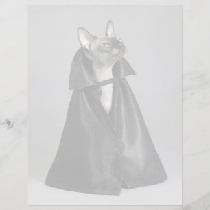 Cutest Baby Animals   Sphynx Hairless Cat