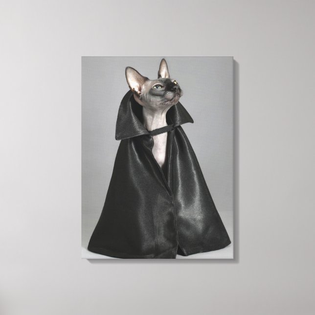 Cutest Baby Animals | Sphynx Hairless Cat Canvas Print (Front)