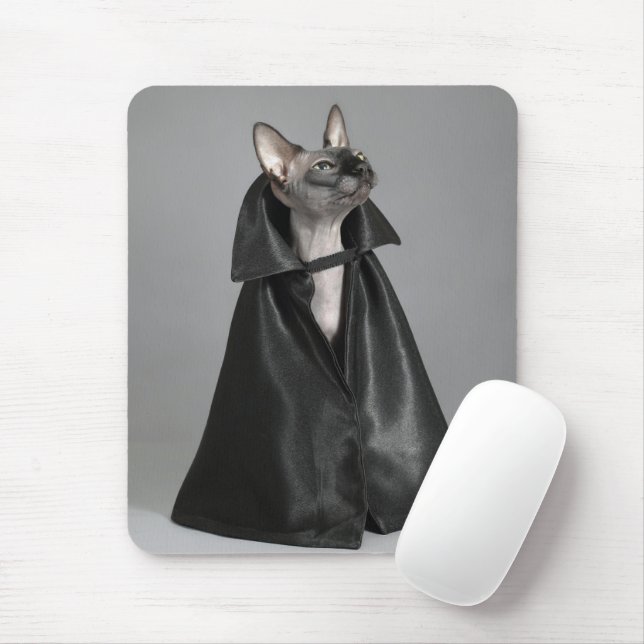 Cutest Baby Animals | Sphynx Hairless Cat Mouse Mat (With Mouse)