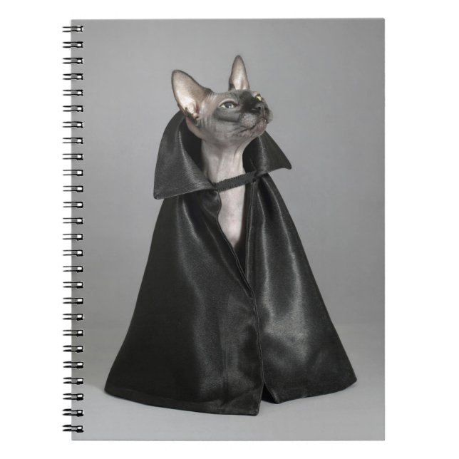 Cutest Baby Animals | Sphynx Hairless Cat Notebook (Front)