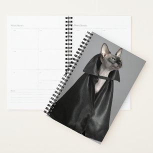 Cutest Baby Animals   Sphynx Hairless Cat Planner