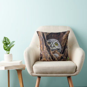 Cutest Baby Animals   Spotted Owlet Cushion