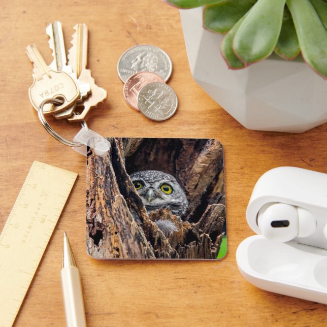 Cutest Baby Animals | Spotted Owlet Key Ring (Desk)