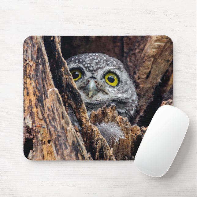 Cutest Baby Animals | Spotted Owlet Mouse Mat (With Mouse)