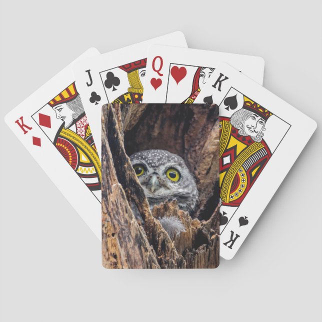 Cutest Baby Animals | Spotted Owlet Playing Cards (Back)
