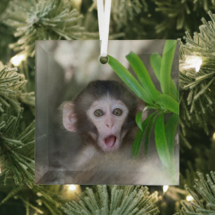 Cutest Baby Animals   Surprised Snow Monkey Glass Tree Decoration