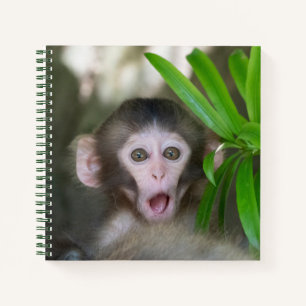 Cutest Baby Animals Surprised Snow Monkey Notebook