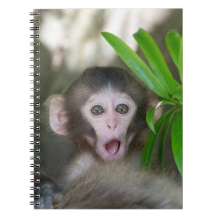 Cutest Baby Animals   Surprised Snow Monkey Notebook