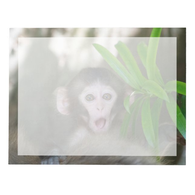 Cutest Baby Animals | Surprised Snow Monkey Notepad (Front)