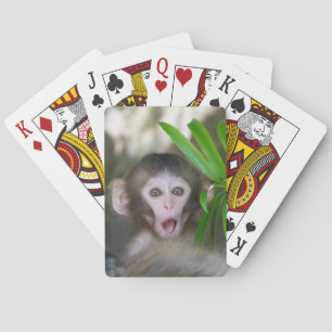 Cutest Baby Animals Surprised Snow Monkey Playing Cards