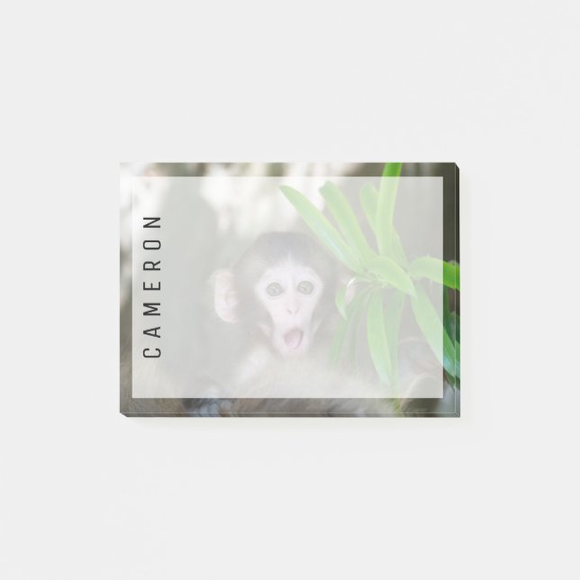 Cutest Baby Animals | Surprised Snow Monkey Post-it Notes (Front)