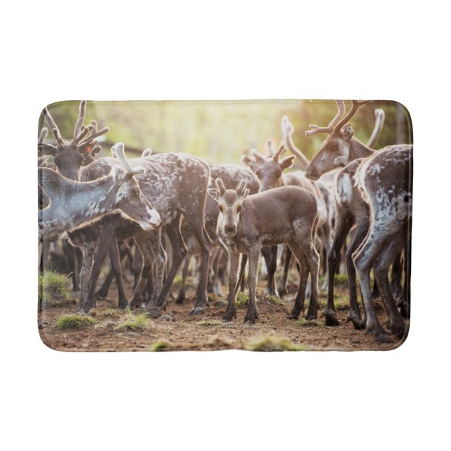 Cutest Baby Animals | Svalbard Reindeer Bath Mat (Front)