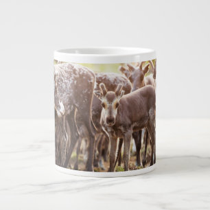 Cutest Baby Animals   Svalbard Reindeer Large Coffee Mug