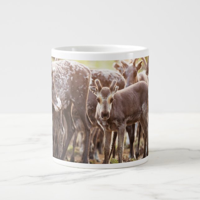 Cutest Baby Animals | Svalbard Reindeer Large Coffee Mug (Front)