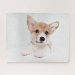 Cutest Baby Animals Sweet Baby Corgi Jigsaw Puzzle