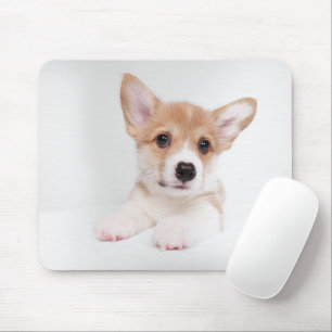 Cutest Baby Animals   Sweet Baby Corgi Mouse Mat