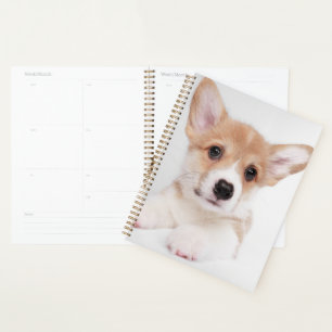 Cutest Baby Animals Sweet Baby Corgi Planner