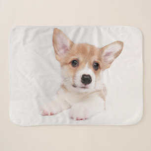 Cutest Baby Animals Sweet Baby Corgi Sherpa Blanket