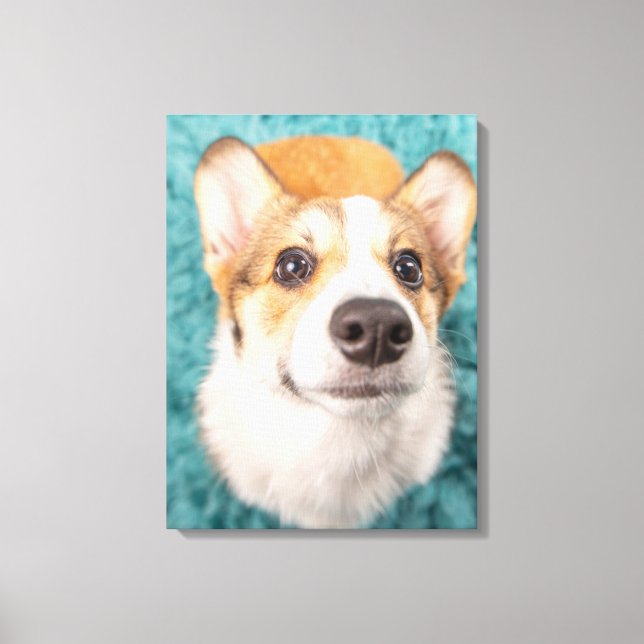 Cutest Baby Animals | Sweet Corgi Puppy Face Canvas Print (Front)
