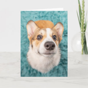 Cutest Baby Animals Sweet Corgi Puppy Face Card