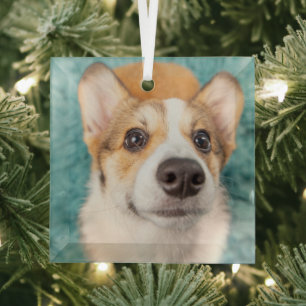 Cutest Baby Animals Sweet Corgi Puppy Face Glass Tree Decoration