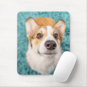 Cutest Baby Animals   Sweet Corgi Puppy Face Mouse Mat