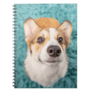 Cutest Baby Animals   Sweet Corgi Puppy Face Notebook