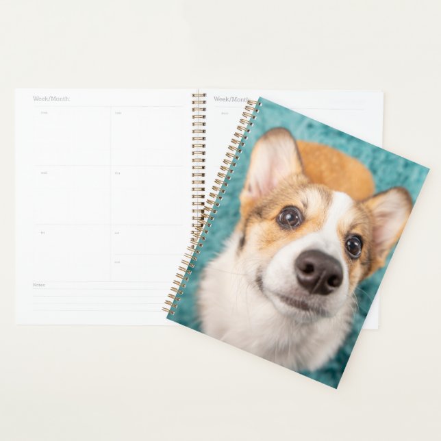 Cutest Baby Animals | Sweet Corgi Puppy Face Planner (Display)