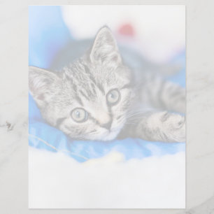 Cutest Baby Animals Tabby Kitten in Play Tunnel