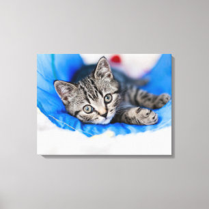 Cutest Baby Animals   Tabby Kitten in Play Tunnel Canvas Print