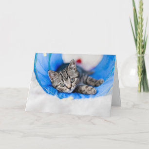Cutest Baby Animals Tabby Kitten in Play Tunnel Card