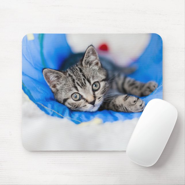 Cutest Baby Animals | Tabby Kitten in Play Tunnel Mouse Mat (With Mouse)