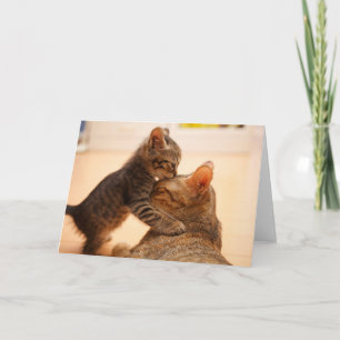 Cutest Baby Animals   Tabby Kitten Kiss Card