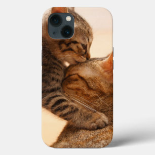 Cutest Baby Animals Tabby Kitten Kiss iPhone 13 Case