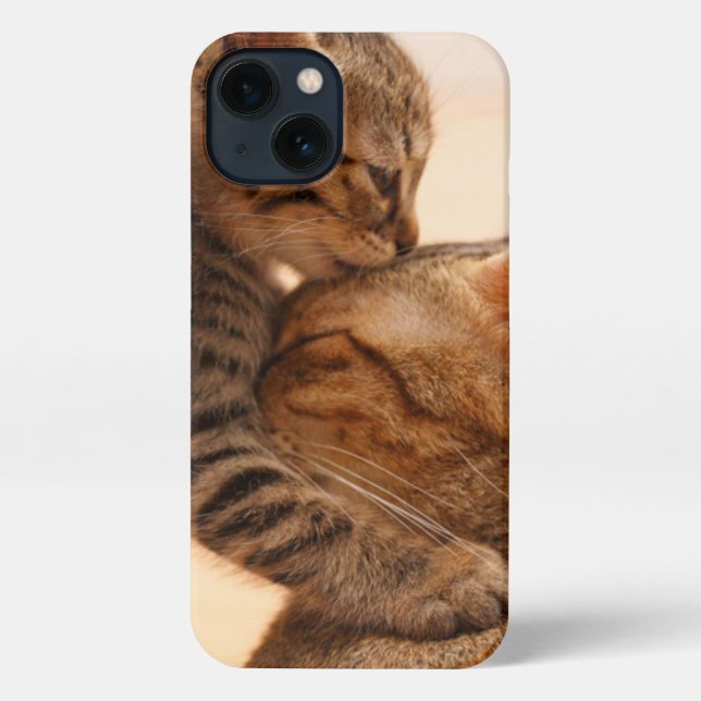 Cutest Baby Animals | Tabby Kitten Kiss iPhone Case (Back)