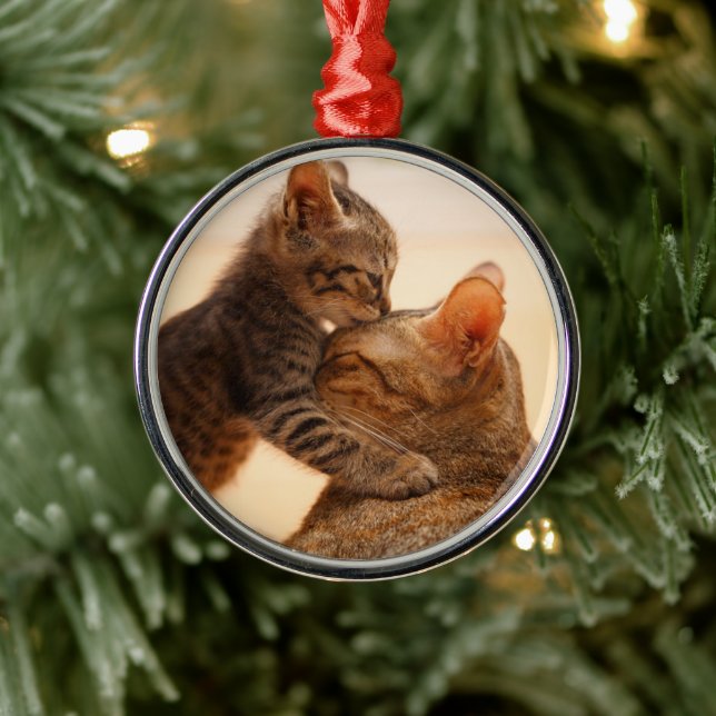 Cutest Baby Animals | Tabby Kitten Kiss Metal Tree Decoration (Tree)