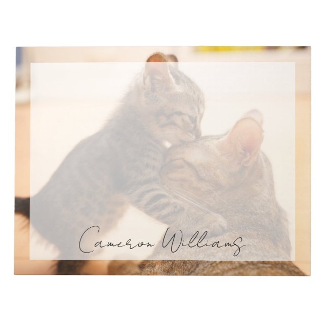 Cutest Baby Animals | Tabby Kitten Kiss Notepad (Front)