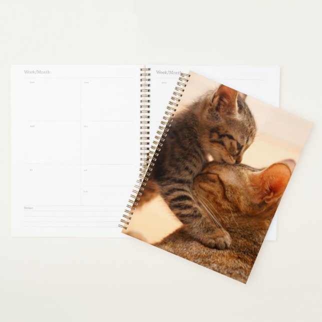 Cutest Baby Animals | Tabby Kitten Kiss Planner (Display)