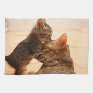 Cutest Baby Animals   Tabby Kitten Kiss Tea Towel
